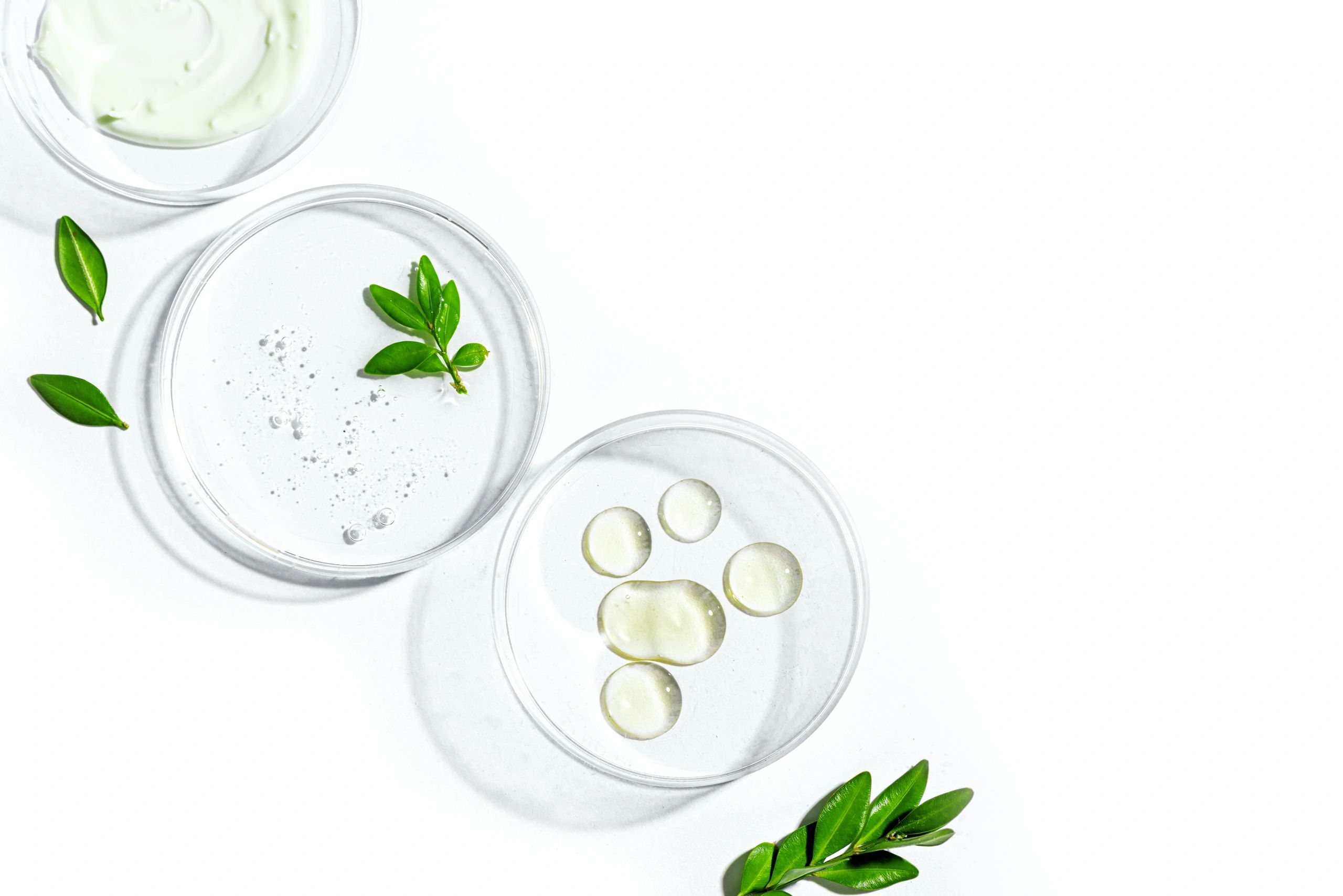 Petri dishes with green plants and gel swatches representing hydration and barrier support